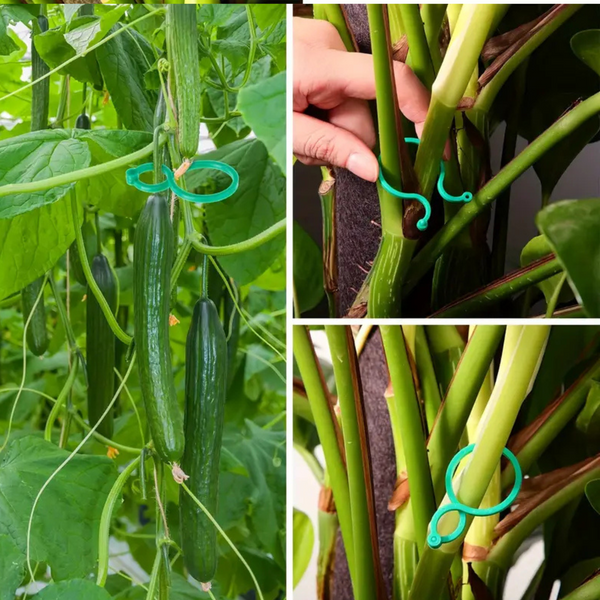 Клипсы для поддержки и фиксации растений - 50шт 21036 фото