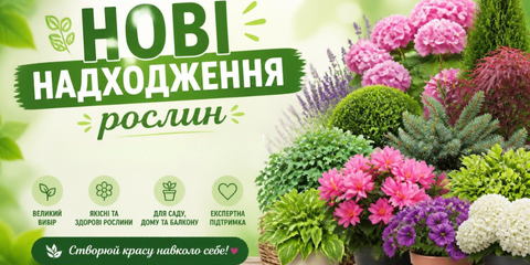 Banner from design