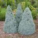 Ель канадская Сандерс Блю. (Picea glauca Sanders Blue) C10 CS2059 фото 1