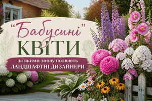 &laquo;Бабусині&raquo; квіти, за якими знову полюють ландшафтні дизайнери фото