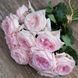 Роза &laquo;О'Хара Пинк&raquo; (Pink O'Hara) в горшке объемом 4 л V01123 фото 6