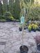 Модрина японська Стіф Віпер. (Larix kaempferi Stiff Weeper) ШТАМБ 100-120см CS2181 фото 4