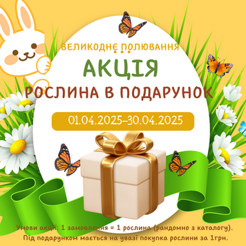 Растение в подарок Random фото
