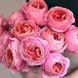 Троянда Романтик Антик. (Romantic Antike) Ч/Г CS1116 фото 5
