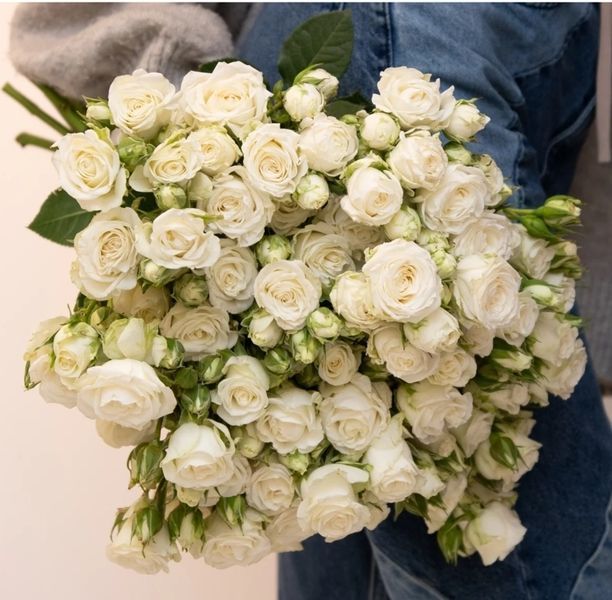 Троянда White Giselle (Уайт Жизель) спрей в горщику 4 л